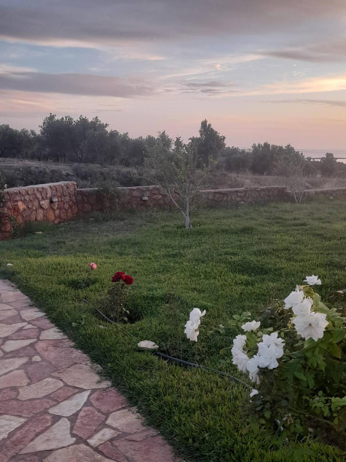 “Villa Othon-Leni” Paralia Demonias Exteriér fotografie