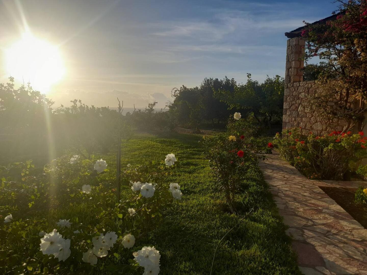 “Villa Othon-Leni” Paralia Demonias Exteriér fotografie